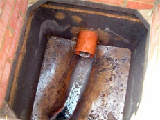 Sewage fungus in sampling chamber